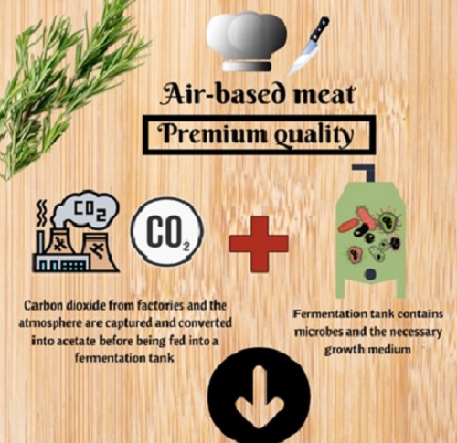From Air to Food: Sustainable Slaughter-free Meat 